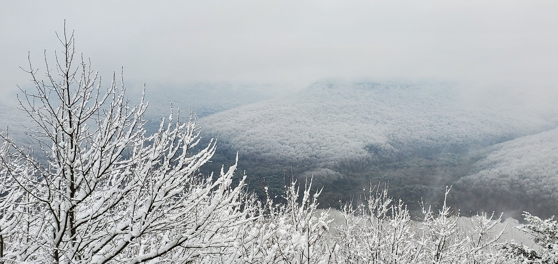 Big Creek overlook