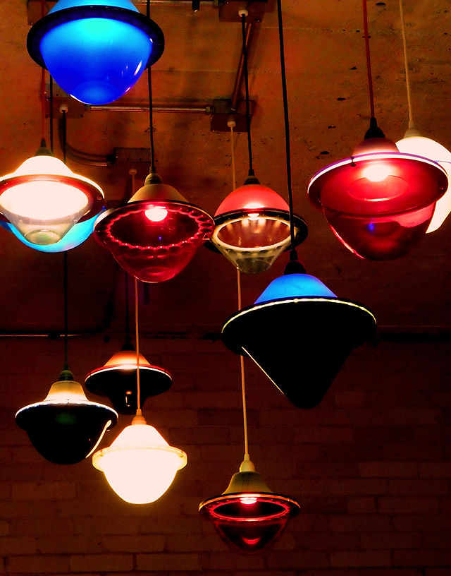 The Plant Interior Lighting
