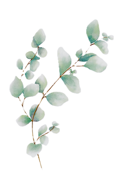 Eucalyptus branch Ohana logo
