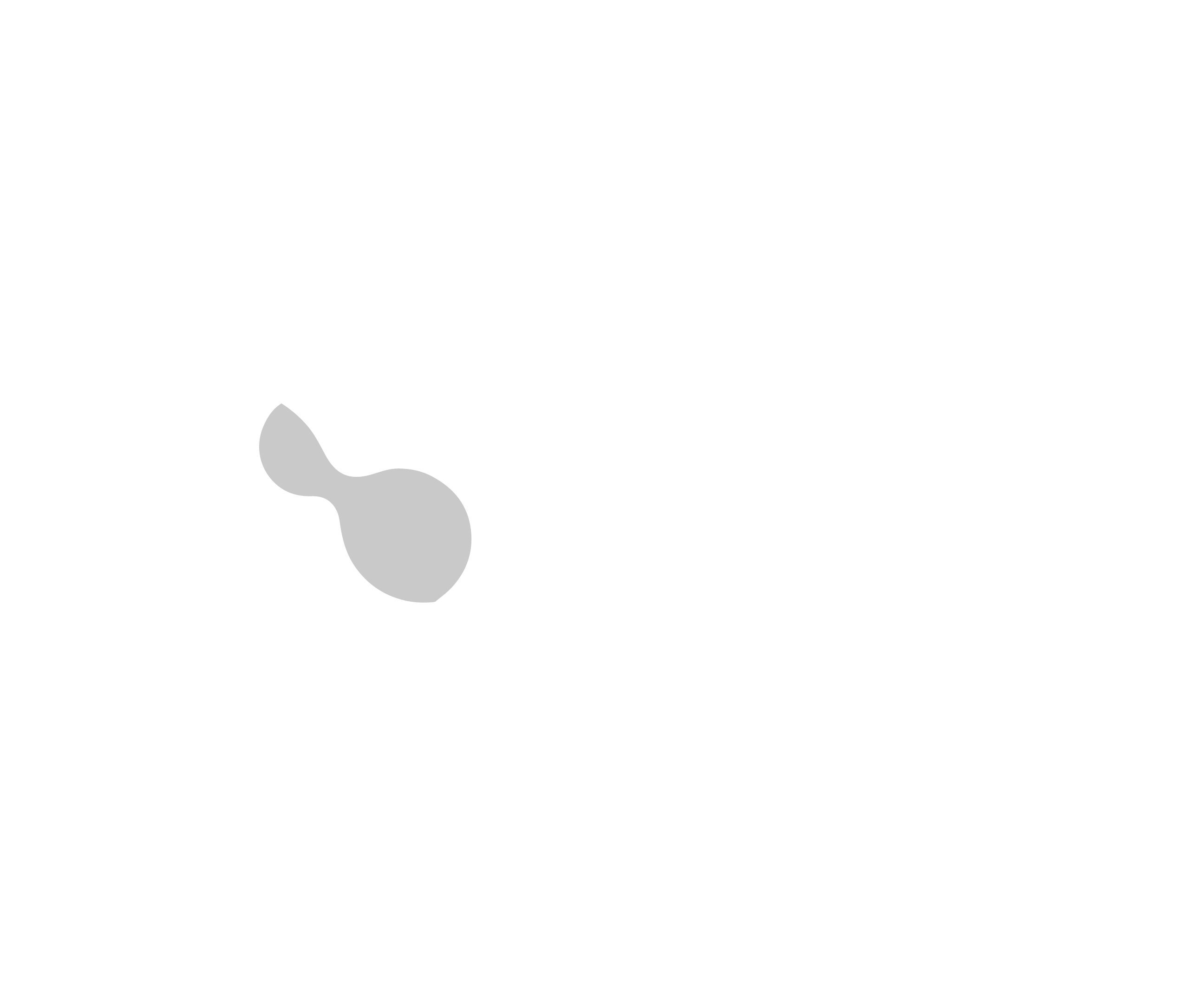 NAUTO LOGO-09-85.png