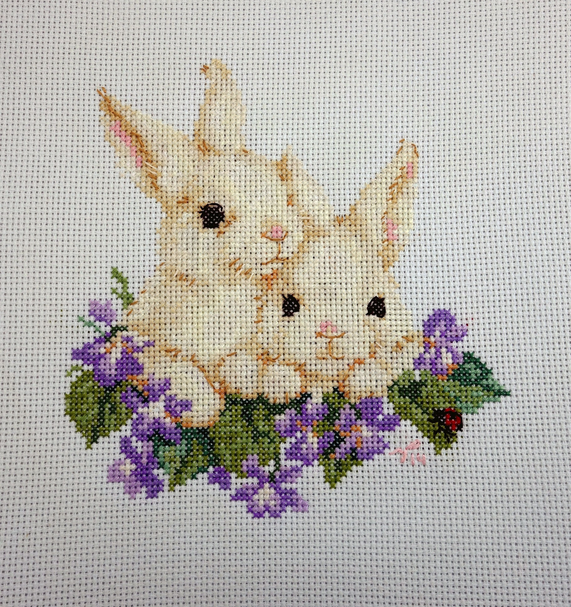 Cream Bunny Duo on Purple Flower Bed