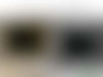 Air Ducts restoration 