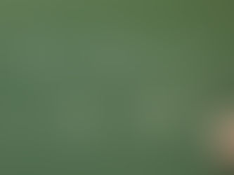 How do we get Technology to Work Seamlessly in School Districts?