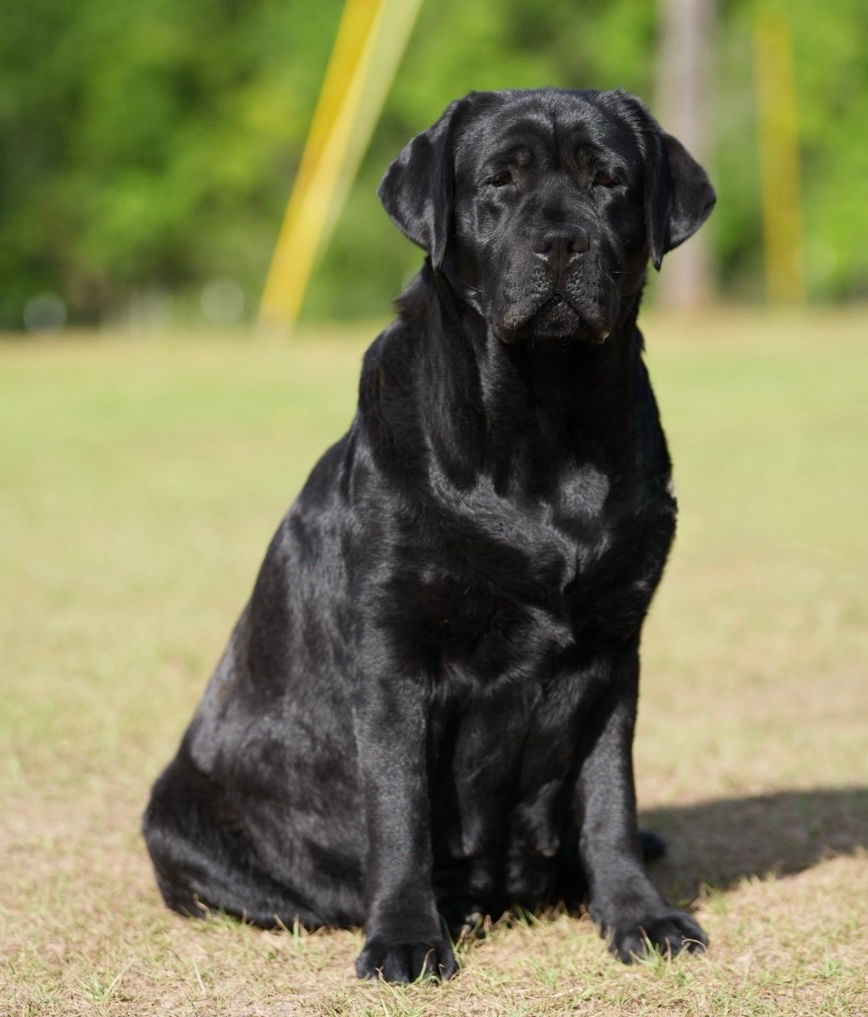 Bazaart_C982C801-EC04-4548-AA60-F7F2CEDA4892