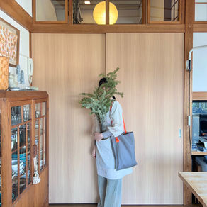triangle onehandle bag