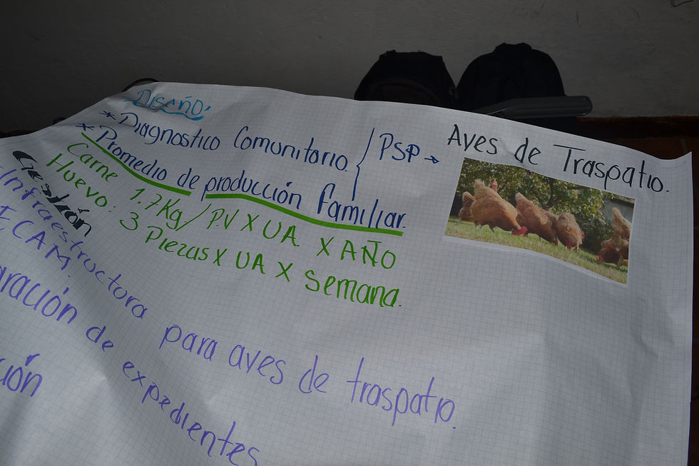 Ciclo de proyecto