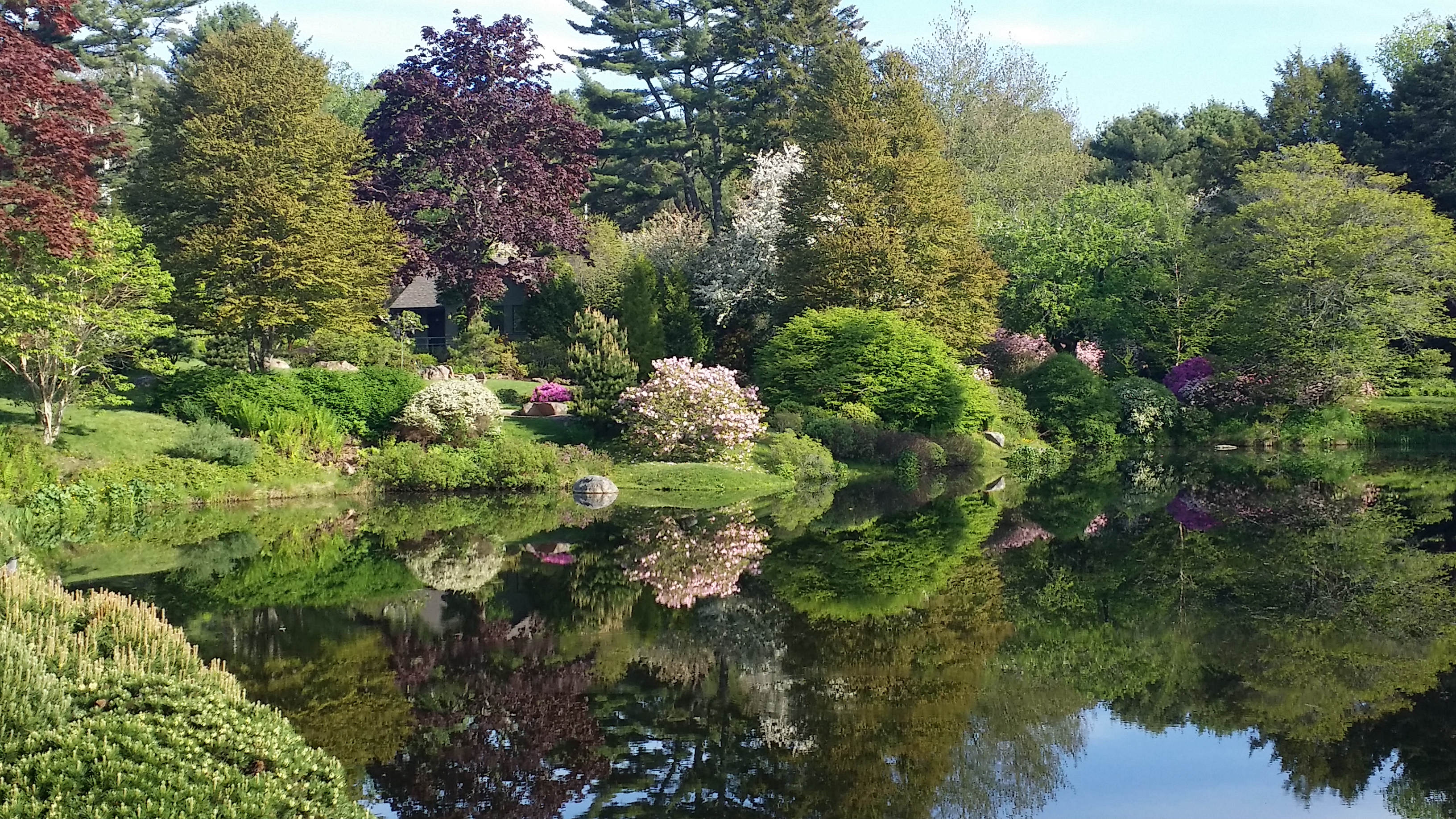 Asticou Azalea Garden Gardenpreserve