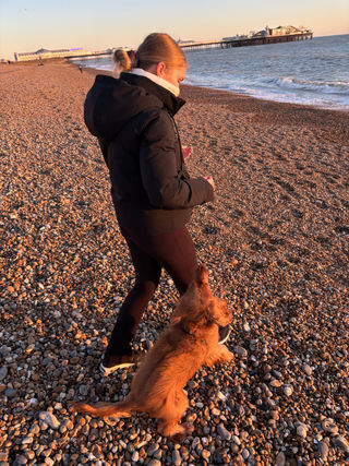 close-up of trainer and dog by the beach