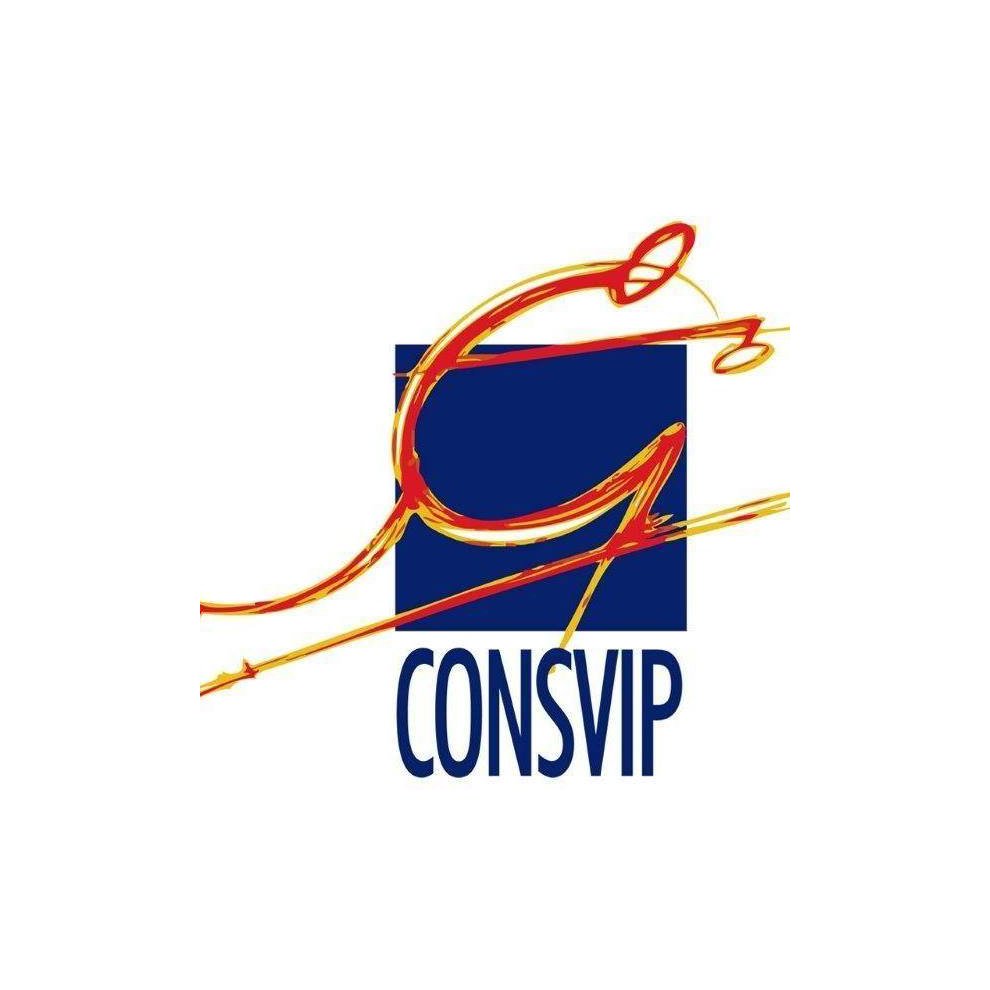 LOGO CONSVIP Tondo.png