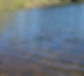 Sophie Altar Gratitude Boat offering _edited.jpg