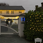 Bushes and trees covered in Christmas lights