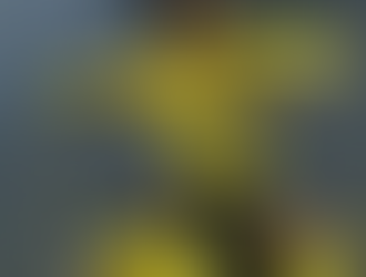 Borussia Dortmund goleia o Celtic, mantém 100% de aproveitamento e lidera a Champions.