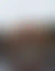 High-end chalet design