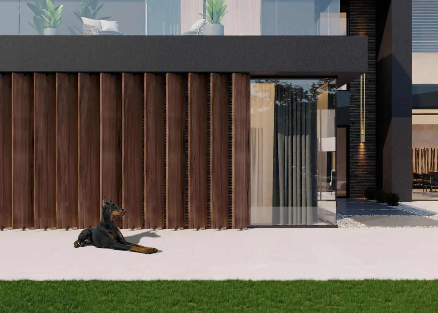 Modern home architectural design with a dog
