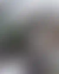 Cafe entrance design