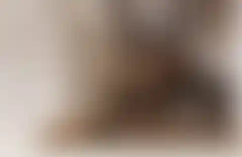 luxurious home staircase design