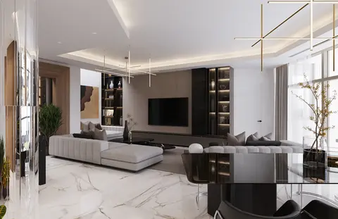 Luxury living room design