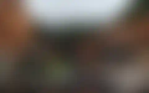 Luxury chalet with swimming pool