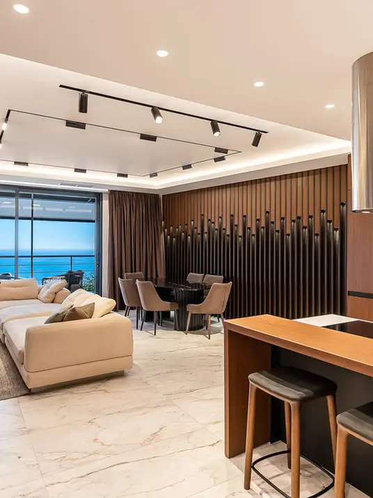 Kitchen and living room design