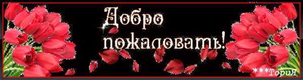 1490198771_1298-dobro-pozhalovat.gif