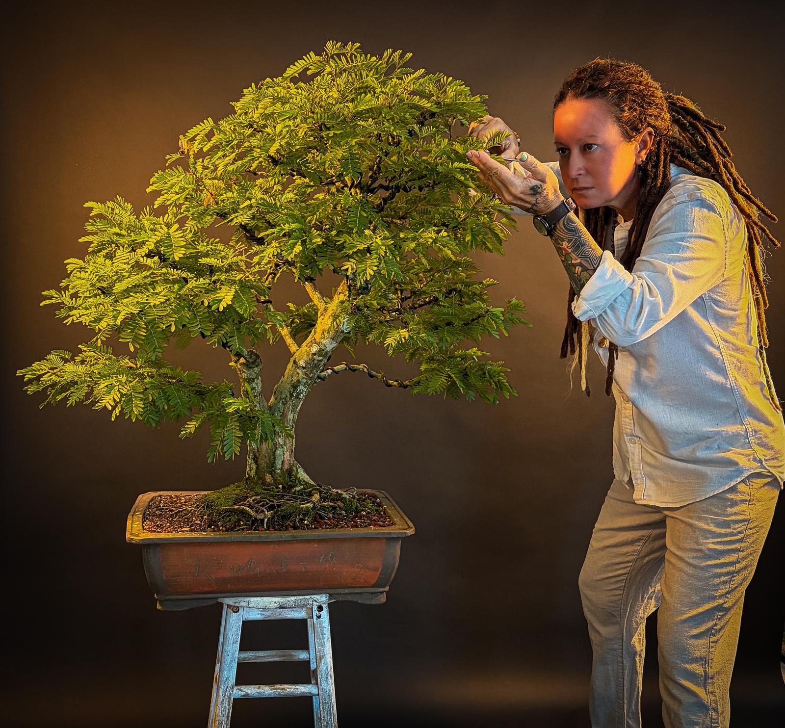 WhatsApp Image 2025-11-25 at 09.31.22.jpeg