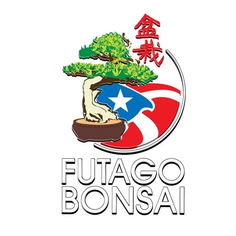 futago-bonsai.jpg