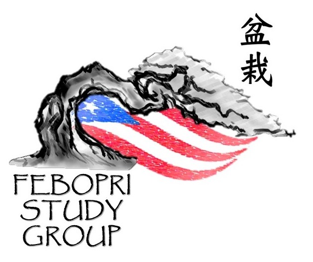 WhatsApp Image 2025-12-01 at 16.45.12.jpeg