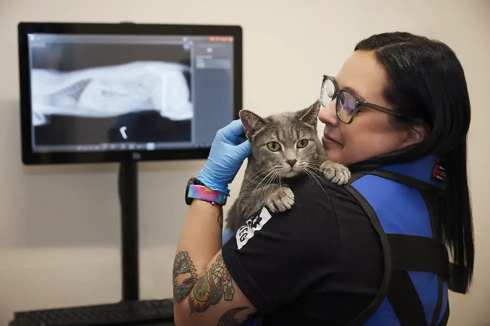 Traveling Emergency Veterinarian - West Region