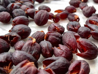 Cáscara de Café, ¿bebida sagrada? o ¿Marketing actual?