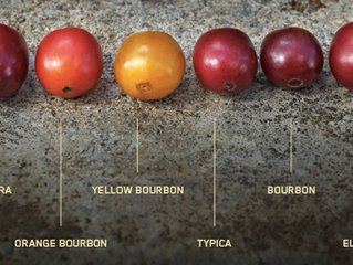 Varietales... ¿Una palabra que da miedo?