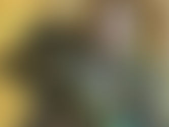 A imponência de Joelma no auge de 25 anos de carreira.