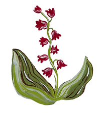 Red Flower.png