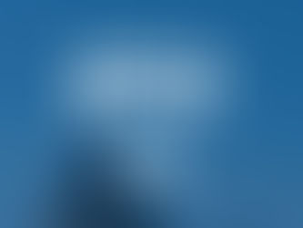 C3S Annual Report Report - 2024