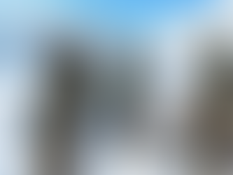 India – China Border Row at Ladakh – An Appreciation ; By Subramanyam Sridharan