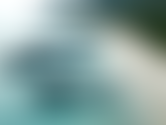 Relevance of Integrated Sea Power in India’s Maritime Domain; By Cmde Venugopal Menon (Retd.)