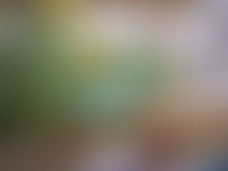 生け花で心を整える女性の姿