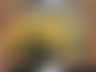 いけばな草月流の大きなインスタレーション