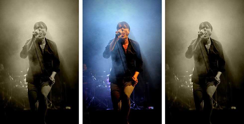 Brett Anderson & Suede