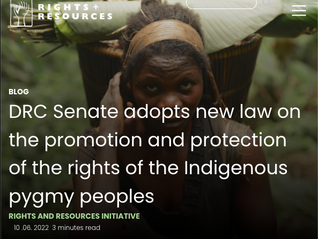 DRC Senate adopts a law on the promotion and protection of the rights of the Indigenous pygmy people