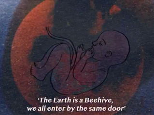 More Than Blood - a short documentary about postpartum haemorrhage, by Rani Khanna