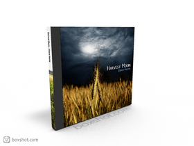 'What I Did on My Holidays'