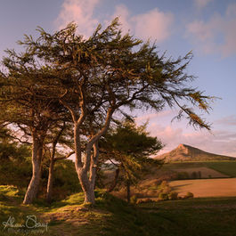 Roseberry Topping