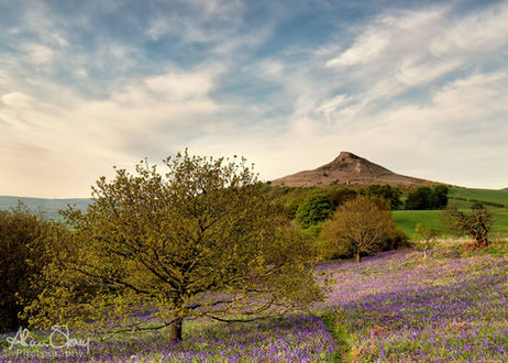 Roseberry Topping