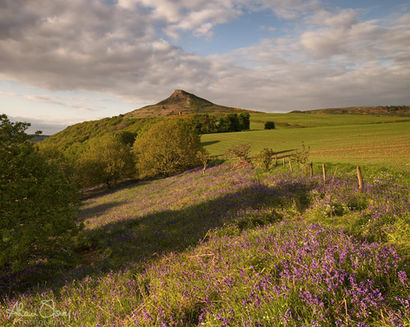Roseberry Topping