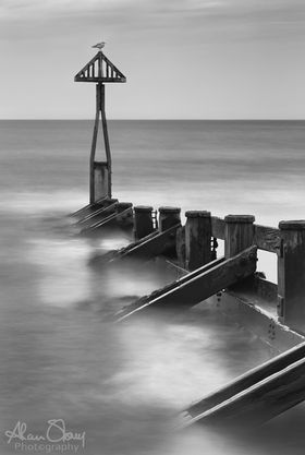 Sand Groyne
