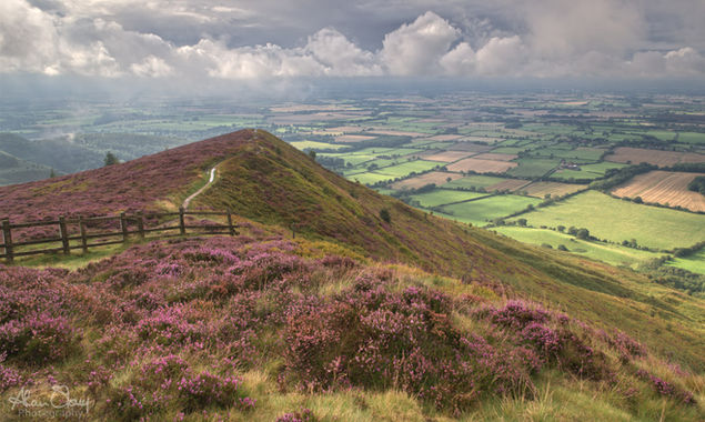 Cringle Moor