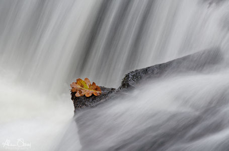 On the Edge