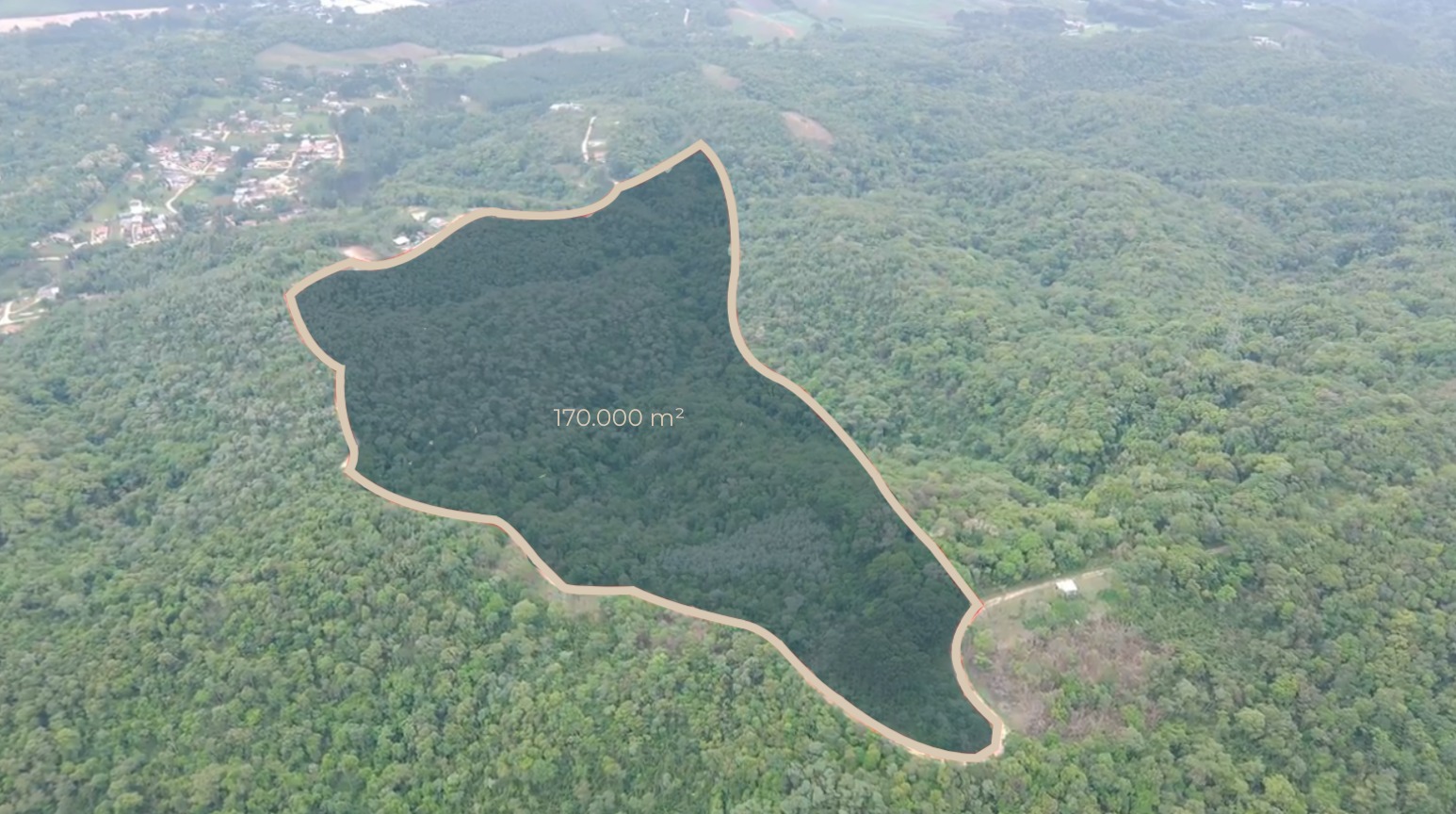 Área verde preservada