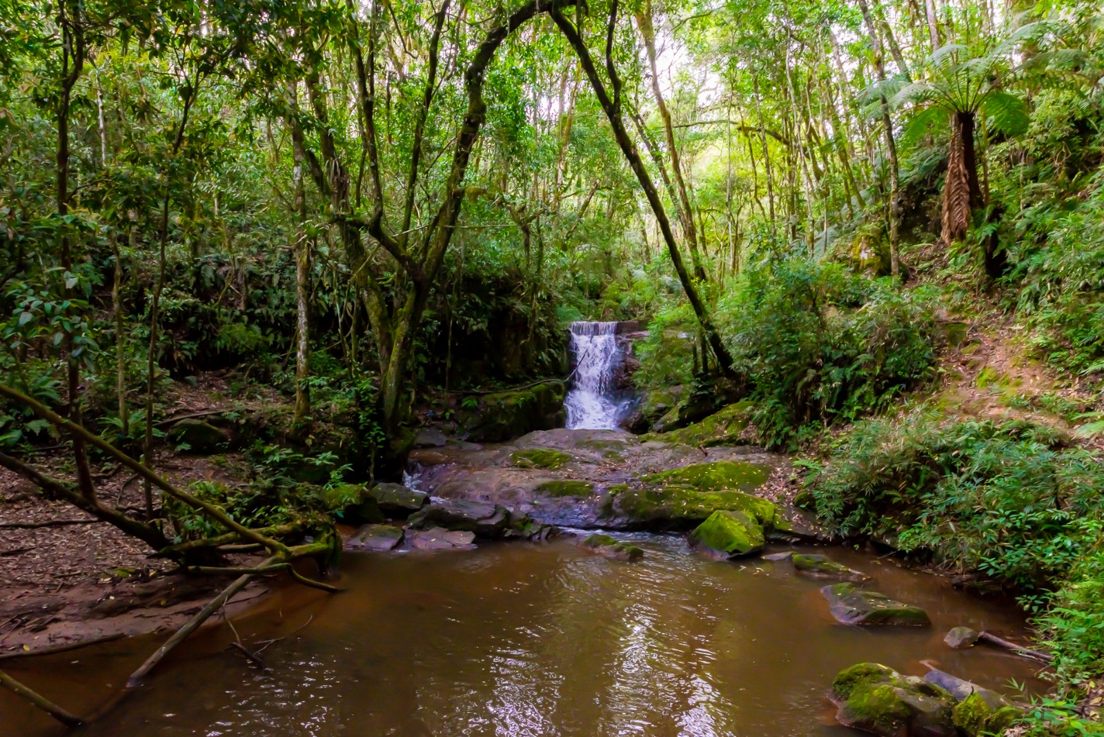Cachoeira privativa dentro da propriedade