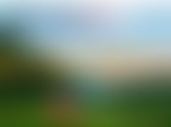 Friday of Week 5 Year C